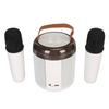 Wireless Karaoke Speakers RGB Light  5.3 Speaker with 2 Wireless Microphones Portable Karaoke Machine for Family Party