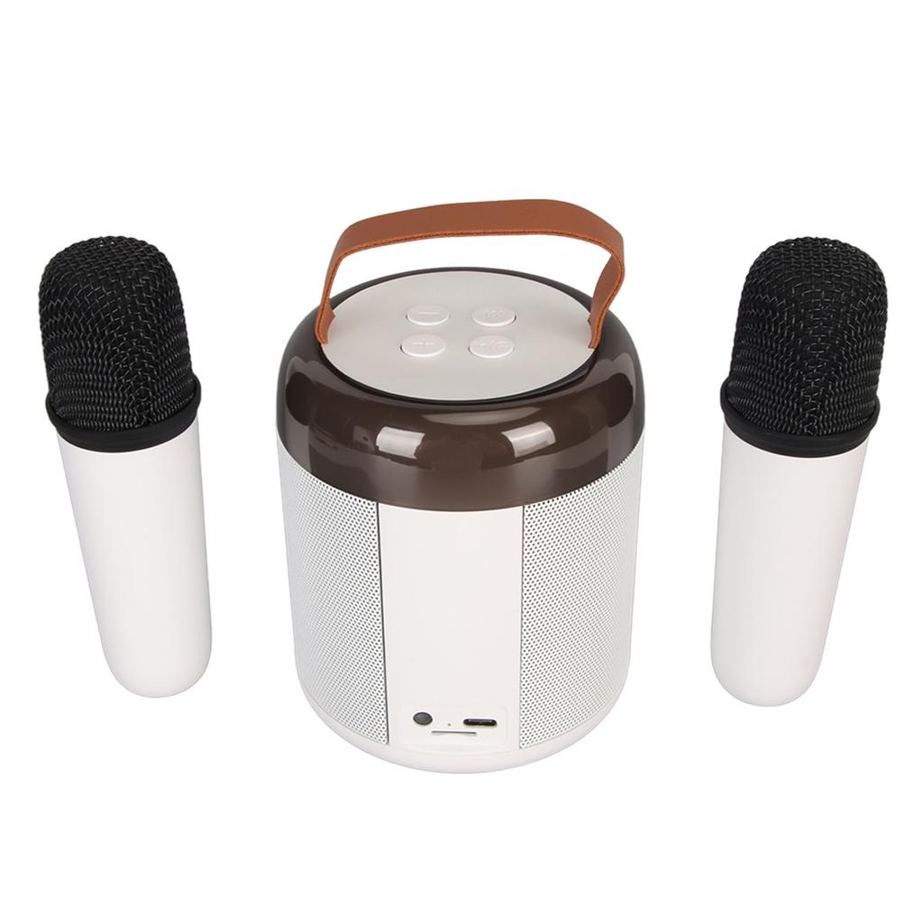 Wireless Karaoke Speakers RGB Light  5.3 Speaker with 2 Wireless Microphones Portable Karaoke Machine for Family Party