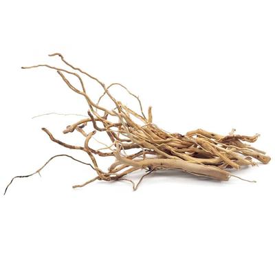 Akvariedjur – Akvarietillbehör