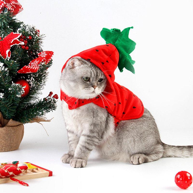 1Pcs Pet Strawberry Costume Dog Halloween Hoodie for Small Breeds Chihuahua Pomeranian Poodle Pug Party Festival Comfortable