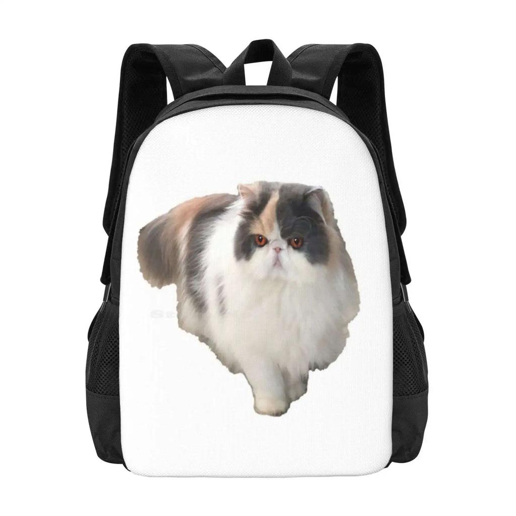 Summer The Persian Cat New Arrivals Unisex Bags Student Bag Backpack Summer Persian Cat Australian Cat Cats Persian Kitten