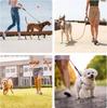LIWEGHT Dog Training Belt 5m 10m 15m 30ft Reflective Extra Long Rope for Outdoor Dogs Camping Safety Backyard Rope Dog Training Clicker (15ft 50ft)