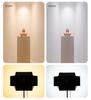 8 Shadow Kingdom PB1500X LED Fill Light: Adjustable Thin & Lightweight Desktop Lighting for Food, Hair, and Tablet Photography.