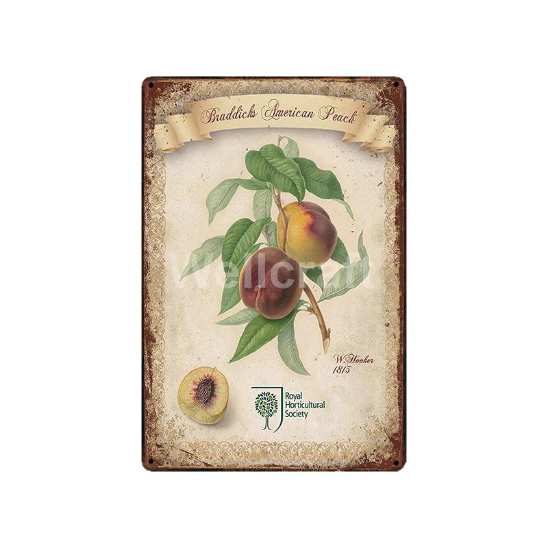 [ WellCraft ] Flower Pot Birds Plant Garden Metal Sign Wall Posters art Vintage Painting Personality Custom zoo Decor LT-1761
