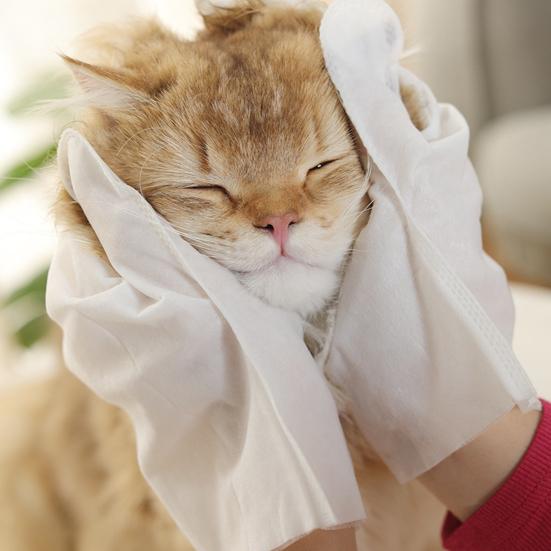kitten bath wipes