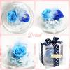 Teatsite Preserved Flower Arrangement, Pre-Wrapped, Glass Pot, 2 Flowers (5 Blue Roses)