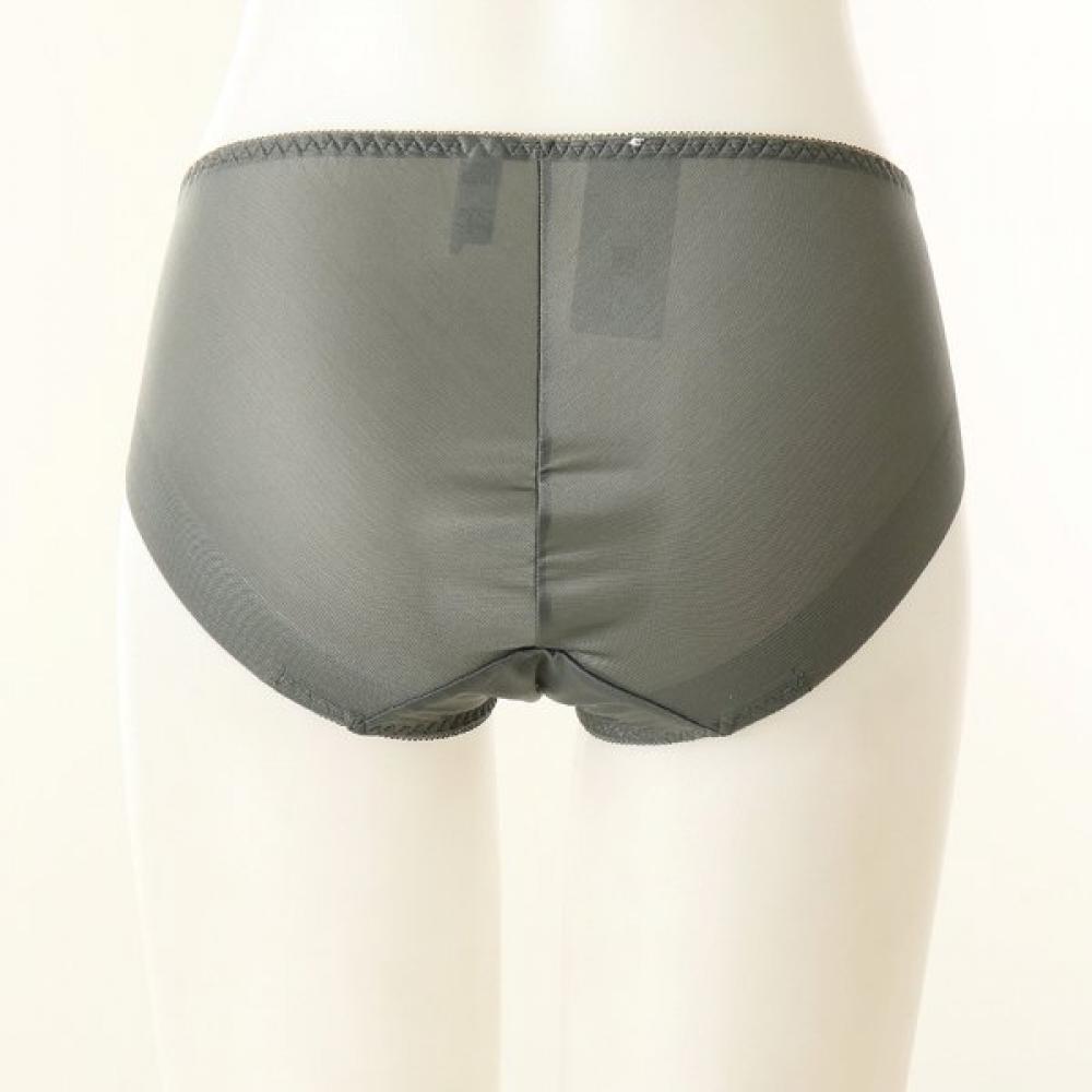 Wacoal Salute Embroidered Print Panty Dpt0465h