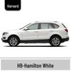 Haval H6 Cool Dog Touch-Up Pen, Black Spot & Ruixue White Scratch Repair Paint