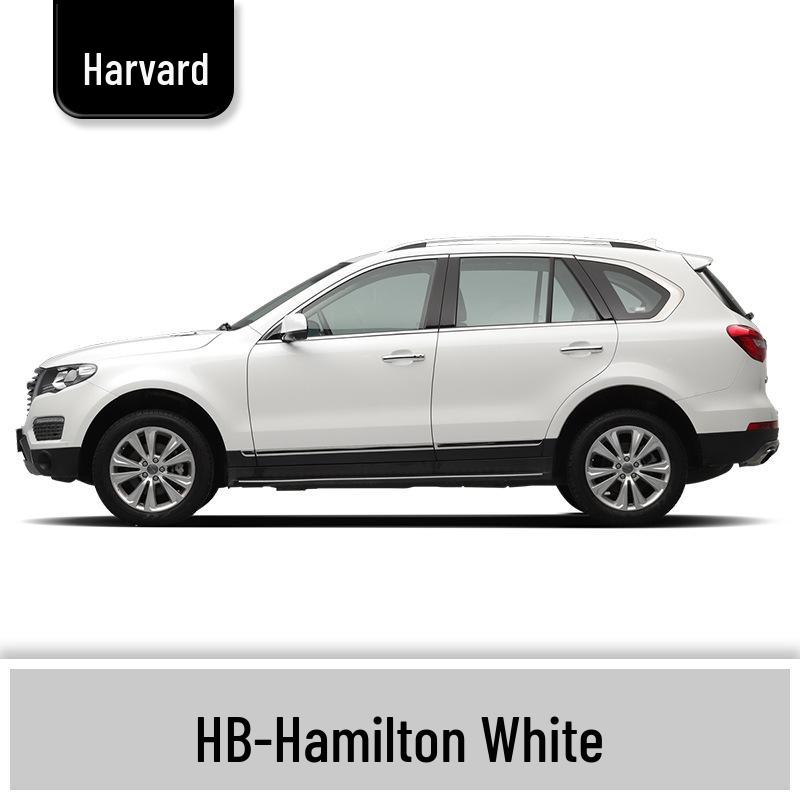 Haval H6 Cool Dog Touch-Up Pen, Black Spot & Ruixue White Scratch Repair Paint