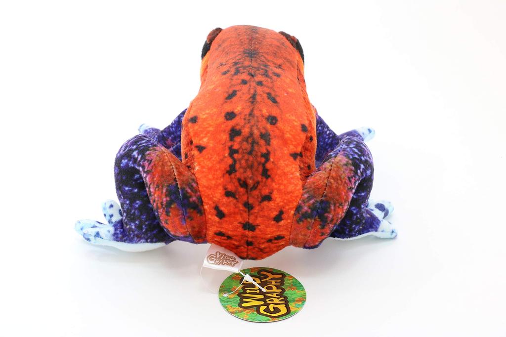 Taiyo Sangyo Boeki Wild Graphy Plush Strawberry Poison Dart Frog (S) SA018