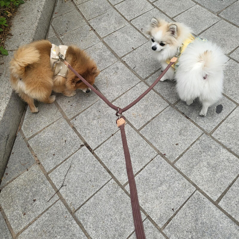 Bowdog Multi-Dog Vintage Rope Leash Dog Dual Leash