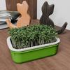 1Pcs Double Layer Germination Tray Plastic High Ventilation Hydroponic Planting Tray Cultivation Pot Grid Design Sprout Tray