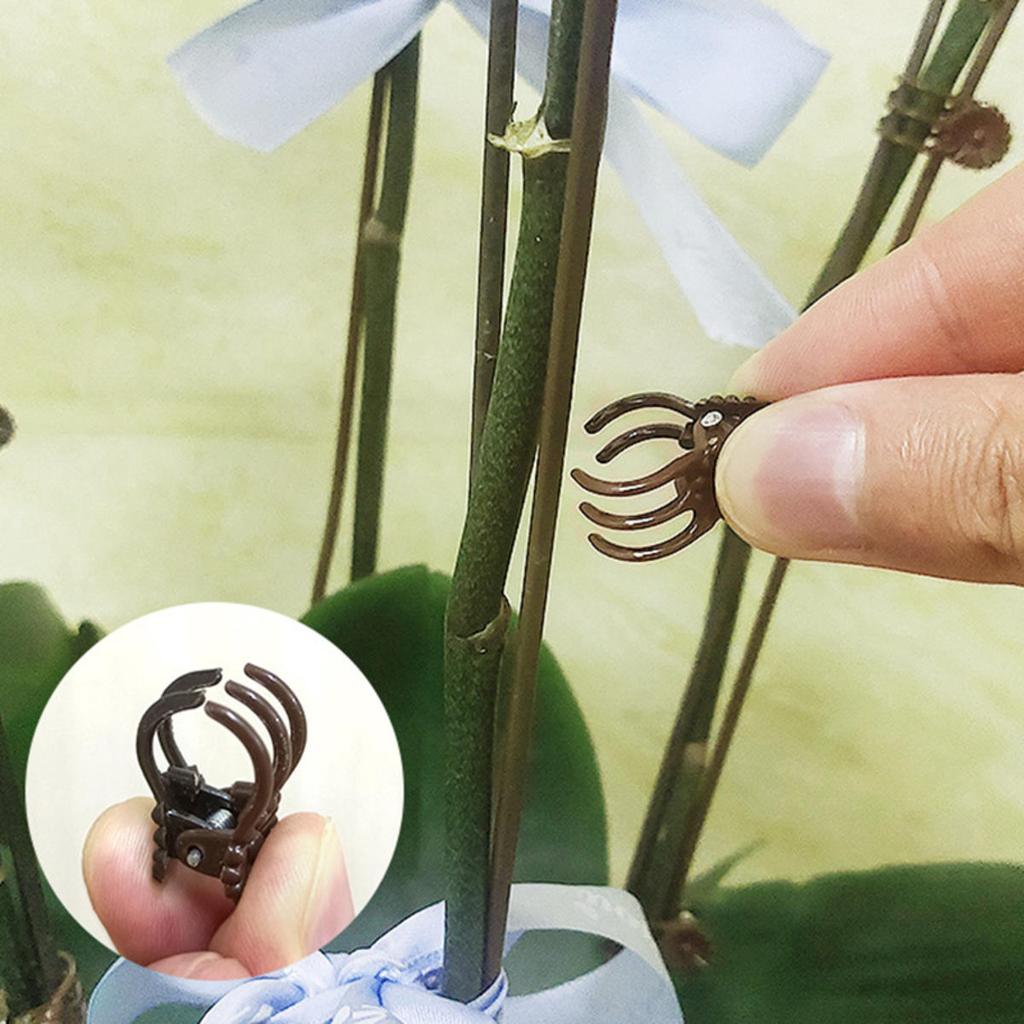 Orchid Stem Clip Plant Support Vine Plastic Clips Flower Grow Branch Clamps Garden Plant Support Fixture Bracket