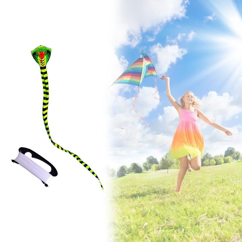 Snake Polyester Lightweight Triangle Kite Glass Fiber Structure Travel Festival