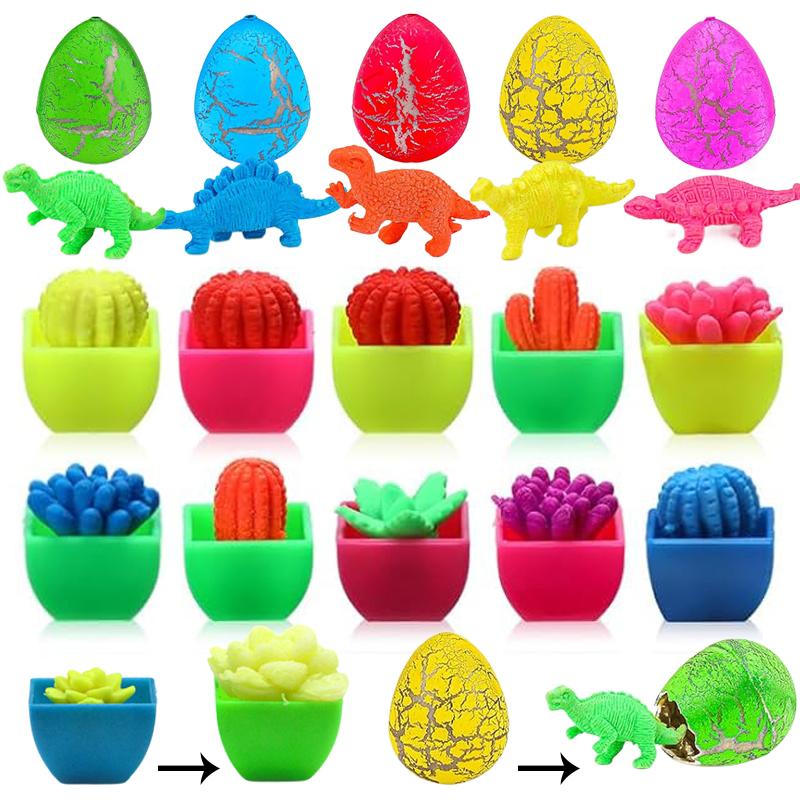 Hatching Dinosaur Eggs Mini Cactus Succulent Soak In Water To Expand Children Scientific Puzzle Toys Growth Cognition TMZ