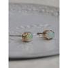 Lacie  Earring
