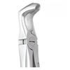 GDC Extraction Forcep Lower Third Molars - 79 Standard (FX79S)