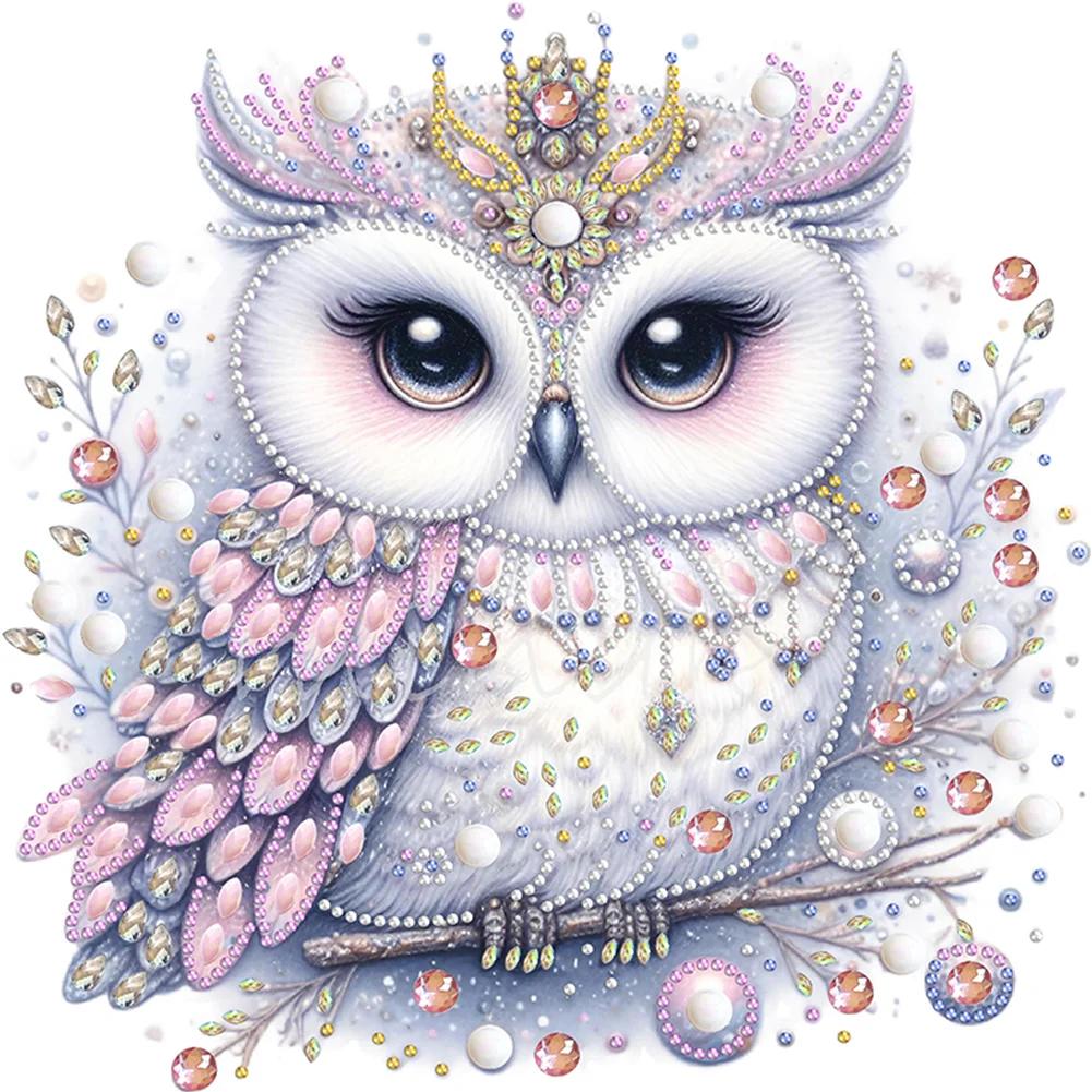 5D DIY Partial Special Shaped Drill Diamond Painting Kit Bald Owl Home Decor