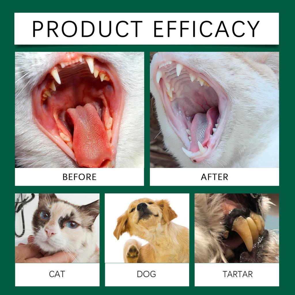 Pet Teeth And Cat Finger Wipes, Removing Plaque And Tartar Accumulation, Finger Toothbrushes, Disposable Gentle Wipes,10ml