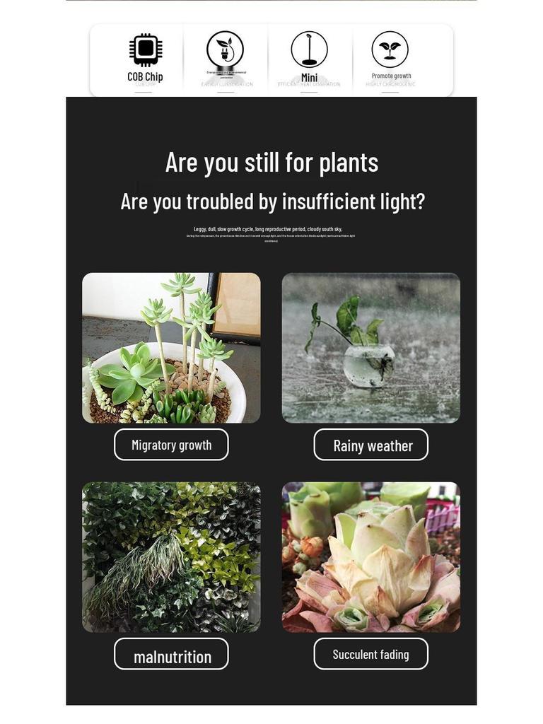 Floor-Standing Indoor LED Grow Light for Succulent and Green Plants - Full Spectrum COB