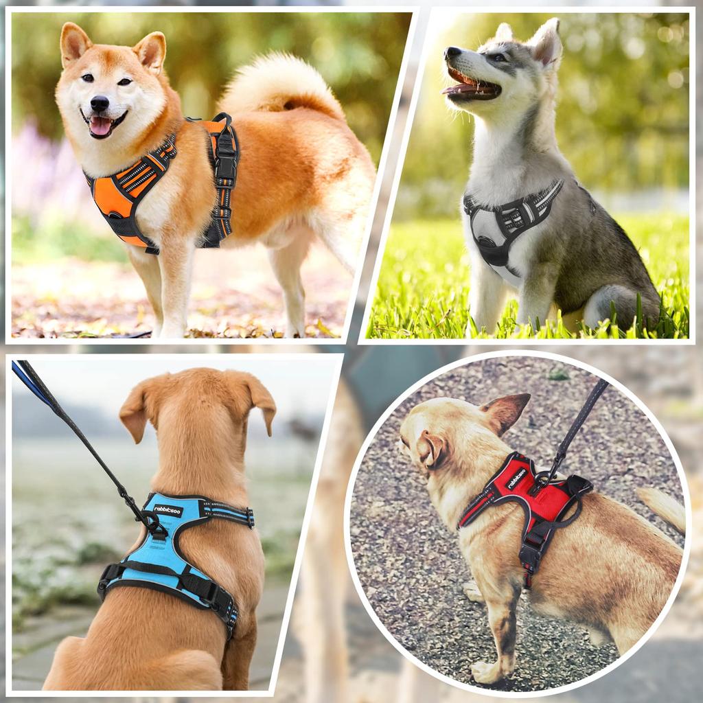 Rabbitgoo Dog Collar for Large Adjustable Night Reflective Stays Prevents Walking Assistance Elderly Care Small Medium Shiba Inu Harness, Dogs,