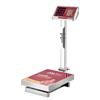 Xiangshan 300kg Waterproof Stainless Steel Folding Electronic Scale (CN Version)