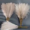 10PCS Artificial Pompous Grass Pompass Branches Fake Fluffy Stems Plants Vase Filler for Home Boho Decor Flower Arrangement