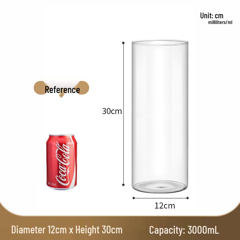 Straight Cylinder Glass Vase for Pothos and Hydroponic Decor