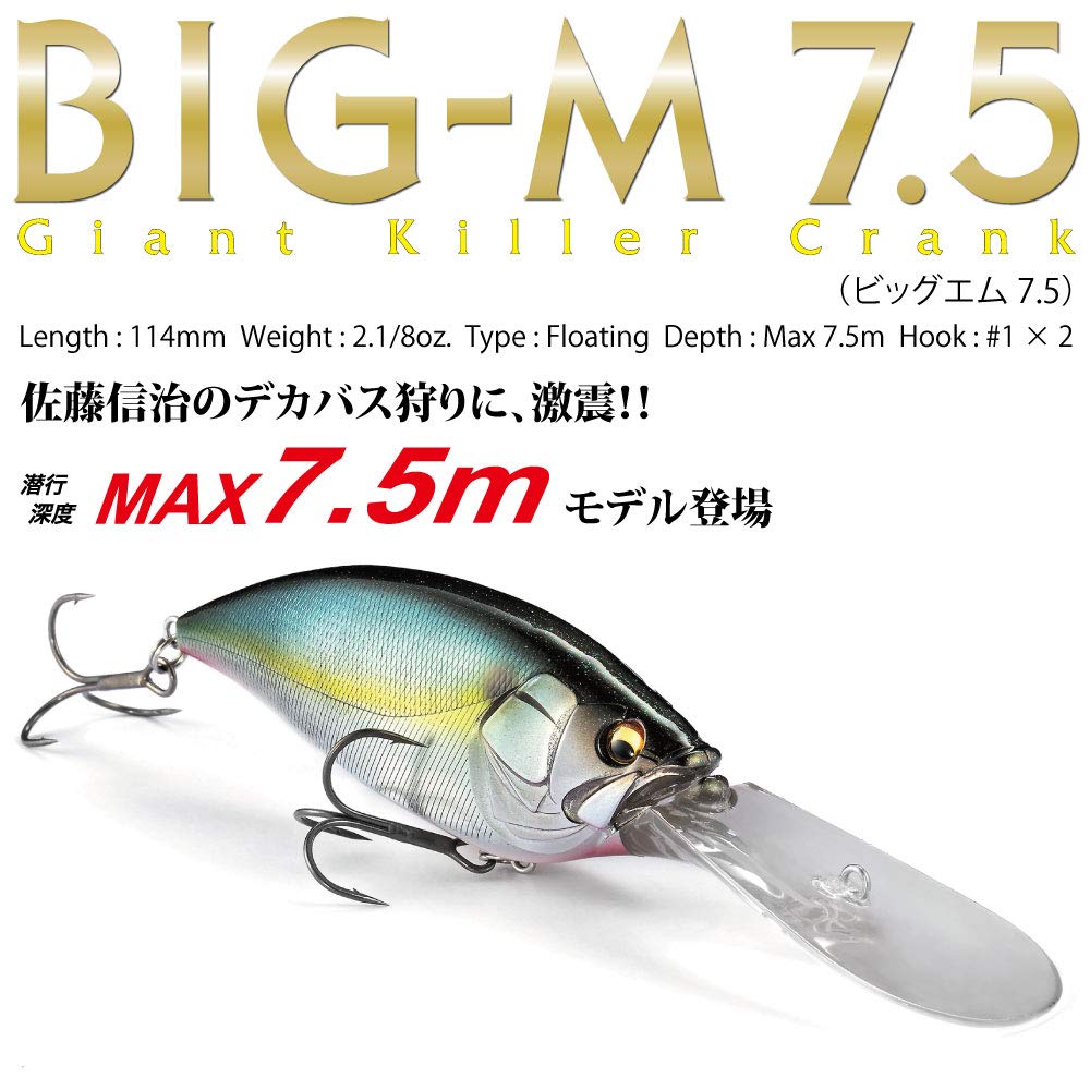 Megabass Champagne Gold Lure BIG-M 7.5M