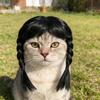 Funny Black Double Ponytail Pet Wig with Adjustable Strap Novelty Dog Cat Cosplay Accessory for Halloween Christmas Parties Festivals