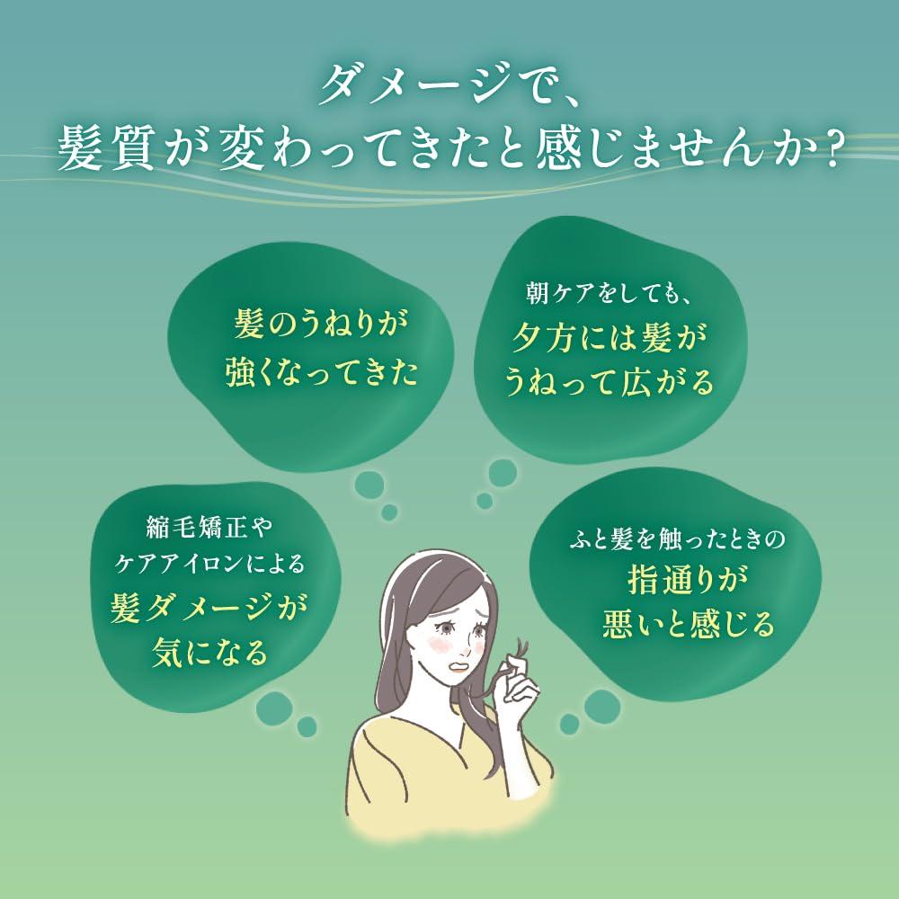 Gyutto Corset Hair Mask 200g Frizz Repairs Frizzy and Damaged Hair Hair Hair (Tosteer Treatment, Care, Hair, Mask, Pack, Treatment)