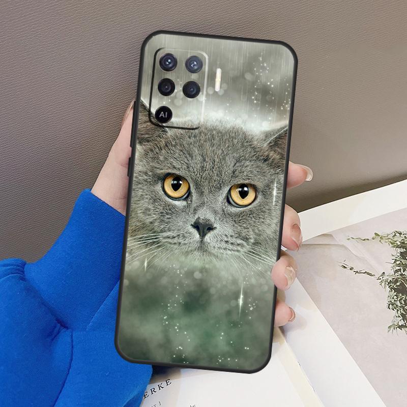 British Shorthair Cat Case For Oppo A78 A38 A18 A98 A58 A60 A80 A40 A96 A76 A16 A94 A74 A54 A15 A17 A57 A77 A5 Pro