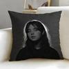 popular singer Clairo Cushion Cover Soft & Easy-Wash Pillow Case – Versatile for Couch, Bed, Travel and Office