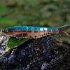 Fishing Lure Robotic Lure Electronic Minnow Fishing Lure for Jig Topwater Hard Baits Minnow Crankbait