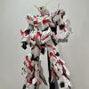 HG Strike Freedom Unicorn Red Astray Gundam Model Building Kit