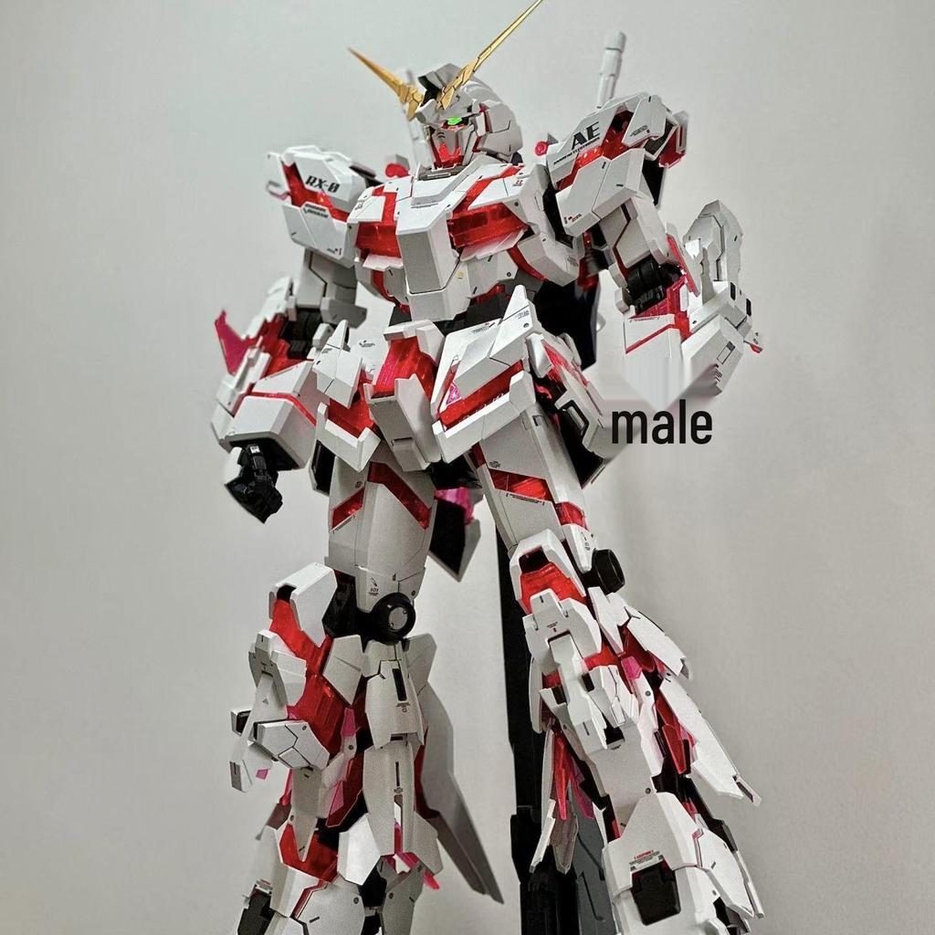 HG Strike Freedom Unicorn Red Astray Gundam Model Building Kit
