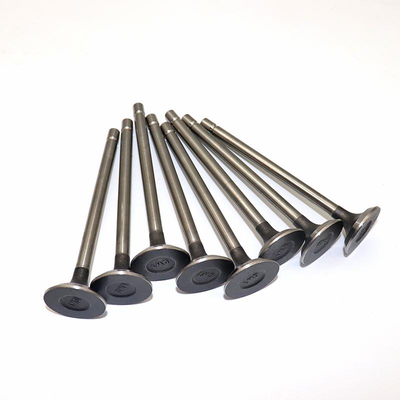 Intake valve (8pcs) Exhaust valve (8pcs) 1007011-ED01 1007012-ED01 For Great Wall Haval H6 Haval H5 Fengjun 4D20\4D20D\Coolpad