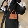 Spring 2025 Solid Color Korean Crossbody Handbag - Women's Versatile Small Square Bag