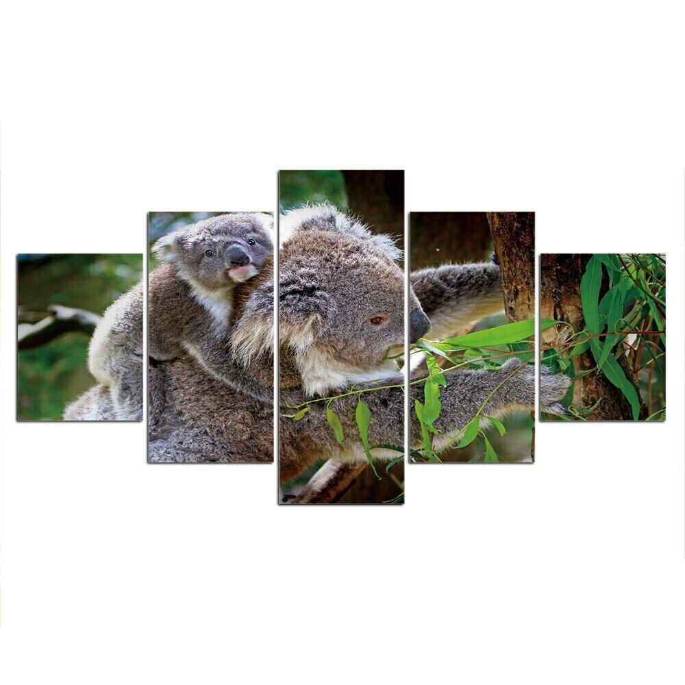

5 шт. коала медведь Австралия животный декор холст картина настенный художественный принт 5 шт. картины картины плакат домашний декор без рамки