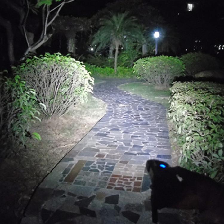 USB Rechargeable Bicycle Headlight-5 Modes Runtime 8+ Hours,Waterproof Bike for