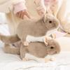 Cozy Totoro Plush Doll Lifelike Simulation Rat Doll Chinchilla Plush Toys  Kids Toys