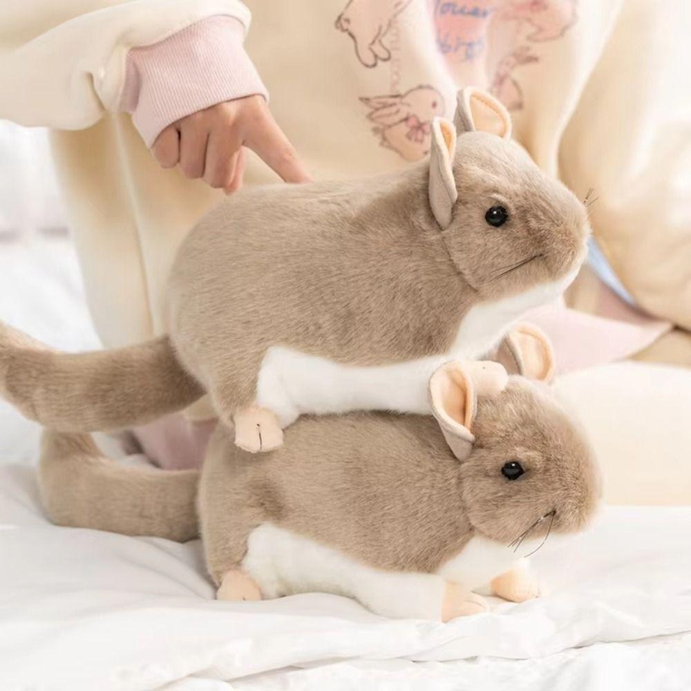 Lifelike Chinchilla Plush Toys Cozy Simulation Rat Doll Totoro Plush Doll  Children Companion