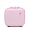 Champion Capsule Carry-on Suitcase