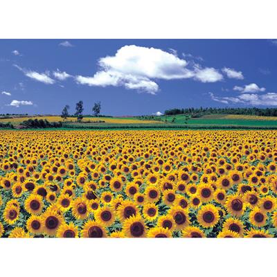 2000 Piece Jigsaw Puzzle - Sunflower Plain, Popular Korean Puzzle