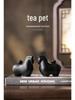 Exquisite Dark Horse Yuanbao Tea Pet: Zodiac Wealth-Attracting Tang Horse Ornament