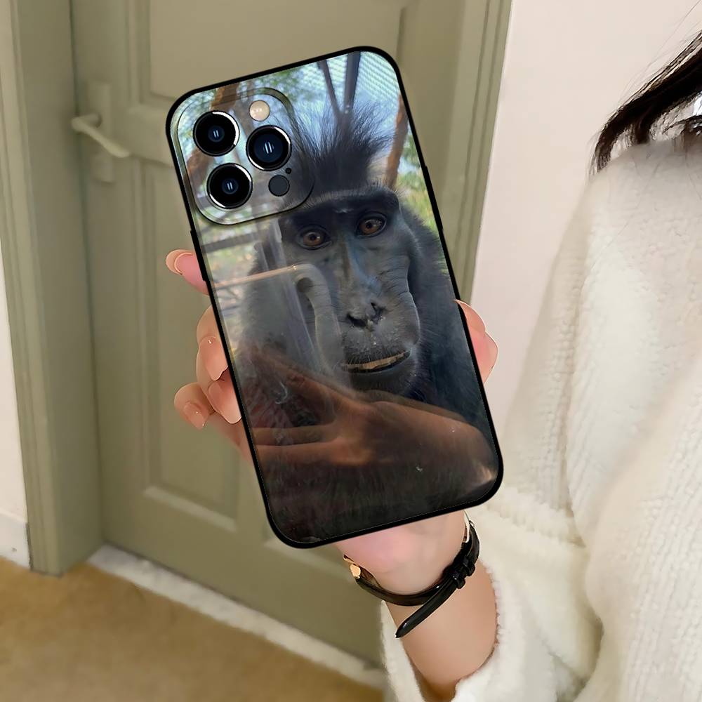 

C-Cute F-Funny Monkeys Phone Case Black That Fits For IPhone 17,16,15,11,13,14 Pro Max,Plus,X,Xr,Xs Max,13Mini iphone12Pro
