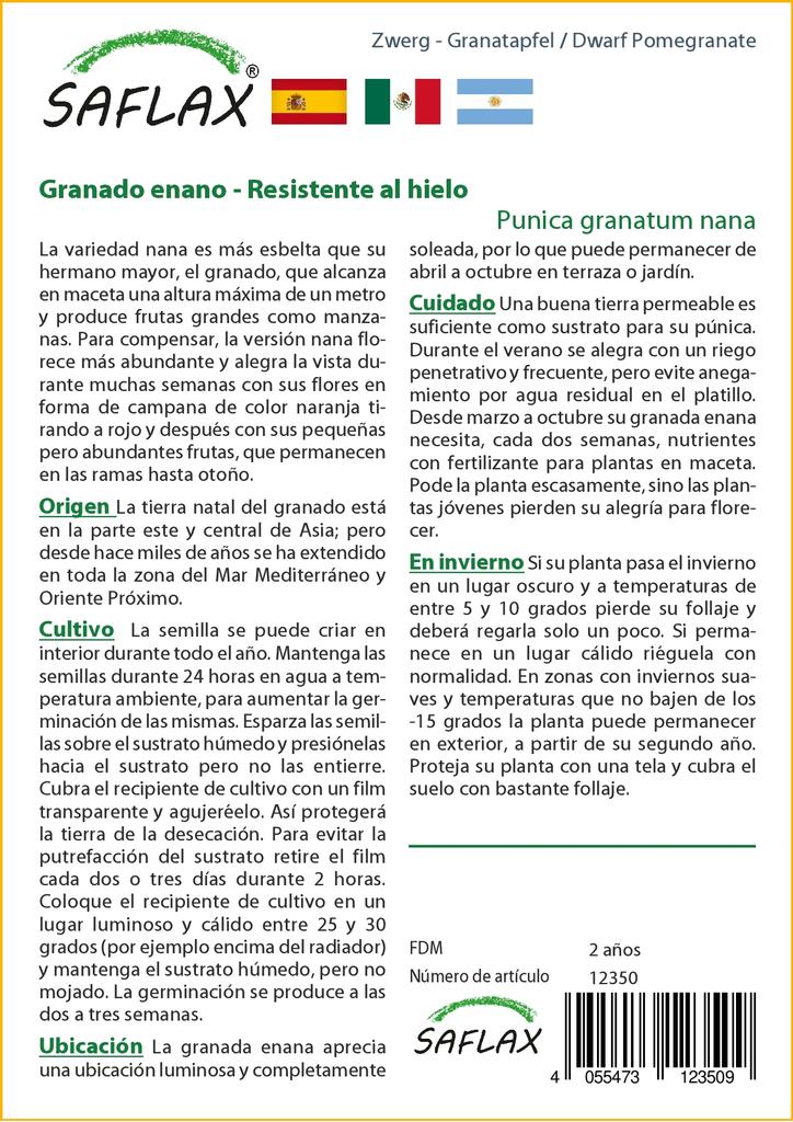 SAFLAX Rodie pitică - 50 de semințe - Cu substrat de ghiveci pentru o cultivare mai bună - Punica granatum nana