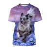 Summer Creative New Border Collie 3D Printed Fashionable Cute Dog Casual Round Neck Short Sleeve