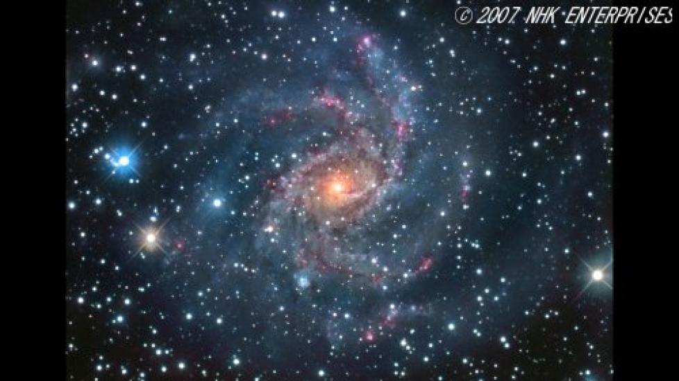 Constellations of the Four A walk through the constellations that color the night sky Seasons [DVD]