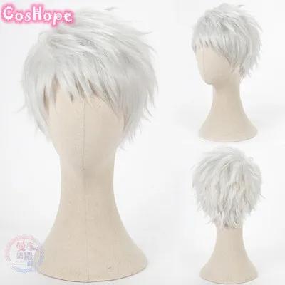 Riddle Ace Trey Cater Deuce Malleus Lilia Silver Sebek Azul Jade Floyd Idia Ortho Jamil Cosplay Pruik Hittebestendige Synthetische Pruik One Size gray